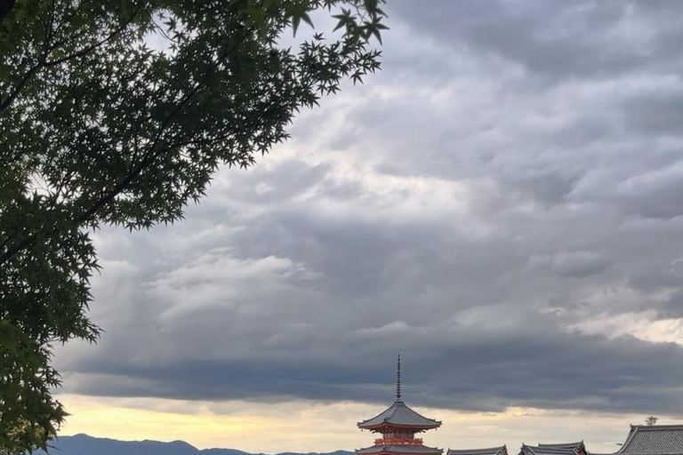 Kyoto: Private Tour with Nara included and English Driver