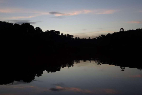 Caminhada noturna na selva amazônica