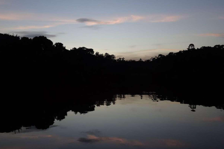 Nattvandring i Amazonas djungel