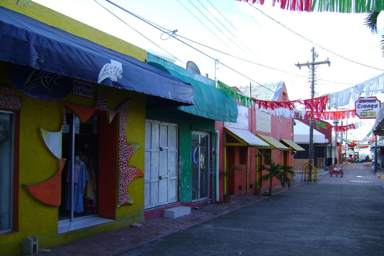 Von der Riviera Maya: Isla Contoy & Isla Mujeres GanztagestourAbholung von Tulum