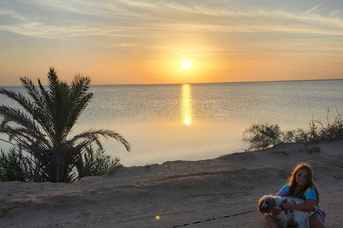 Süd-Djerba mit dem Roller: Olivenbäume, Töpferwaren und SonnenuntergangSüden von Djerba mit dem Roller: Olivenbäume, Töpferwaren und Sonnenuntergang