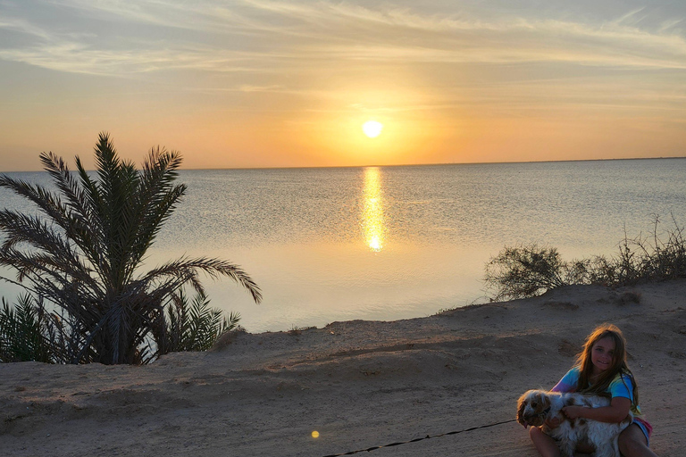 Süd-Djerba mit dem Roller: Olivenbäume, Töpferwaren und SonnenuntergangSüden von Djerba mit dem Roller: Olivenbäume, Töpferwaren und Sonnenuntergang