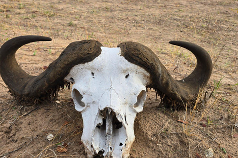 Kasane: 2-Day Chobe National Park Safari & River Cruise