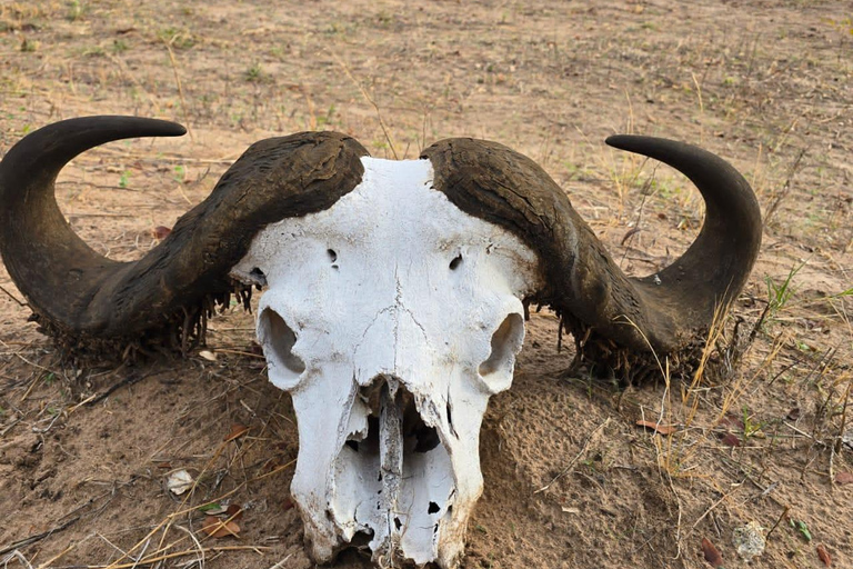 Kasane: 2-Day Chobe National Park Safari & River Cruise