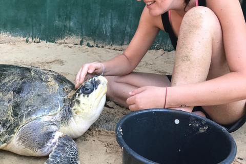 Excursão de um dia a Galle com tudo incluídoExcursão de um dia com tudo incluído a Galle a partir de Colombo e Negombo