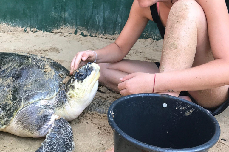 Excursão de um dia a Galle com tudo incluídoExcursão de um dia com tudo incluído a Galle a partir de Colombo e Negombo