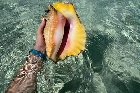Guadeloupe: Discover the Grand Cul Sac Marin Nature Reserve Daytime boat tour of the Grand Cul Sac Marin Nature Reserve