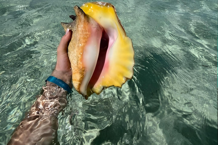 Guadeloupe: Discover the Grand Cul Sac Marin Nature Reserve Daytime boat tour of the Grand Cul Sac Marin Nature Reserve