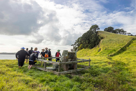 From Auckland: Browns Island Motukorea Sea Kayak TourPrivate Booking