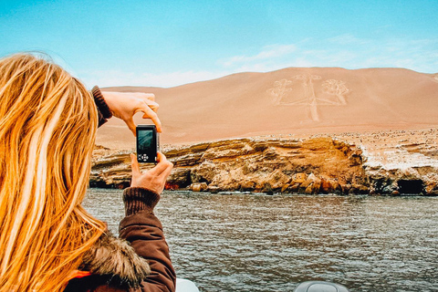 Full day in the Ballestas Islands and the Paracas