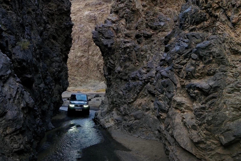 Von Ulaanbaatar: 7-tägige Selbstfahrer-Tour durch die Wüste GobiVon Ulaanbaatar aus: 7-tägige Selbstfahrer-Tour durch die Wüste Gobi