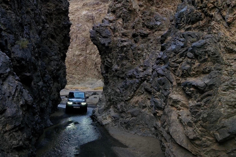 Von Ulaanbaatar: 7-tägige Selbstfahrer-Tour durch die Wüste GobiVon Ulaanbaatar aus: 7-tägige Selbstfahrer-Tour durch die Wüste Gobi