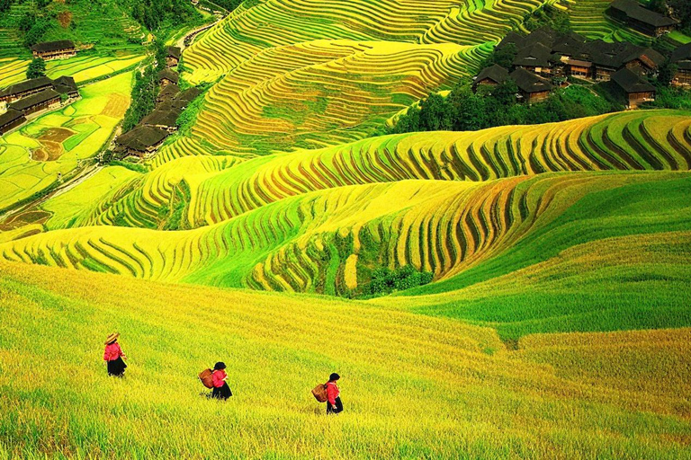 Yangshuo: Longji Terraces & Long Hair Village Private Tour