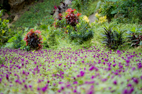 Da Nang: 2-Day Dong Giang Heaven’s Gate Tour With Meals