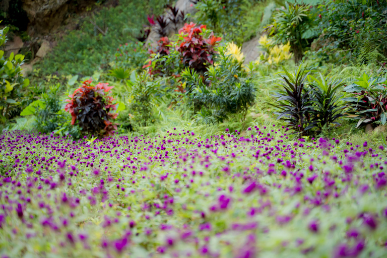 Da Nang: 2-Day Dong Giang Heaven’s Gate Tour With Meals