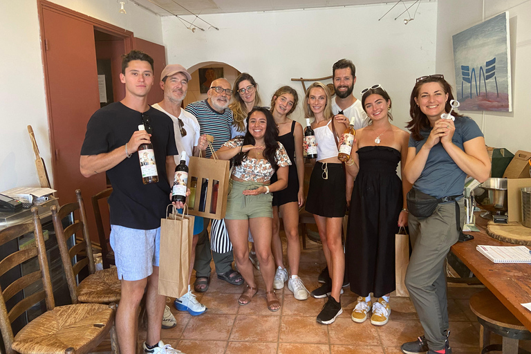 Visite en petit groupe guidée en E-Bike dans le vignoble bio de Nice