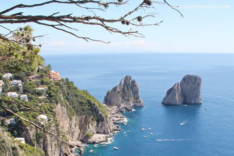 Amalfi Coast: Capri Cruise Tour from Salerno, Amalfi and Positano From Salerno, Amalfi, Maiori, Positano