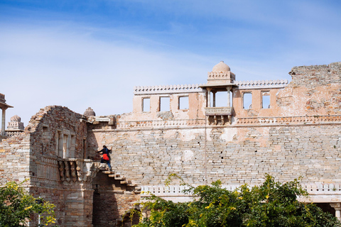 Udaipur: Private Day Trip to Chittorgarh FortThis option only car