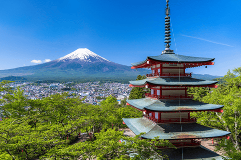 From Tokyo: Mount Fuji Private Tour With English Guide Mount Fuji & Hakone Tour