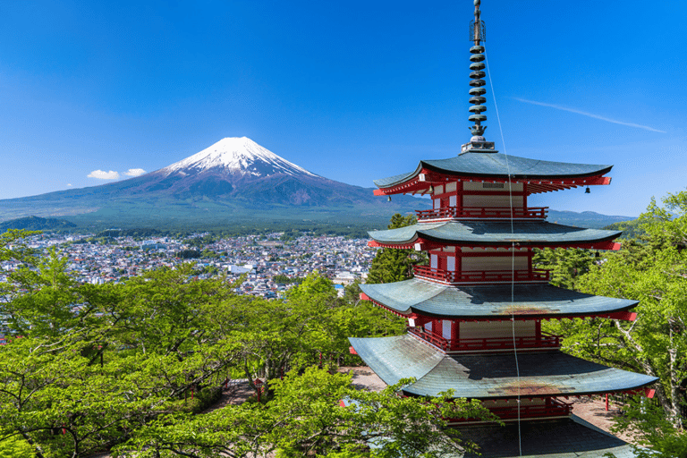 From Tokyo: Mount Fuji Private Tour With English Guide Mount Fuji & Hakone Tour