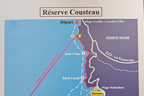 Aluguer de 4 horas Reserva Cousteau Barco sem licençaAluguer por 4 horas Reserva Cousteau