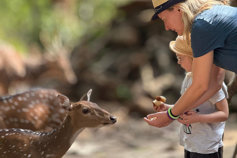 Tissamaharama: Watching Deer, Crocodile & Birds Village Tour Village Tour Shared
