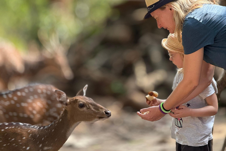 Tissamaharama: Watching Deer, Crocodile & Birds Village Tour Village Tour Shared