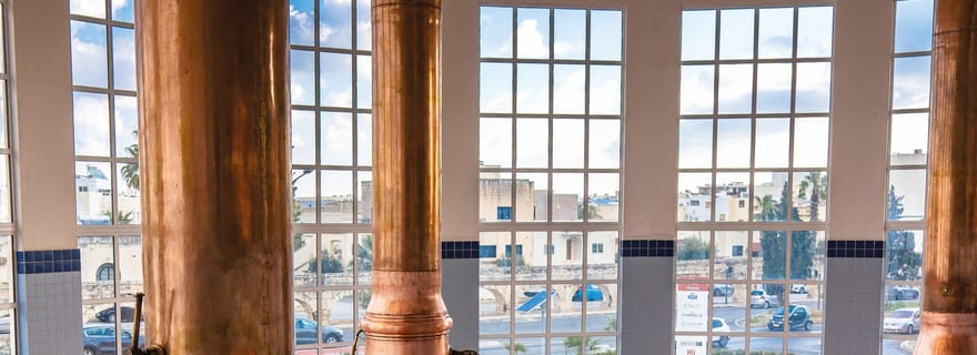 L'expérience de la brasserie et la dégustation de bière, y compris le transport