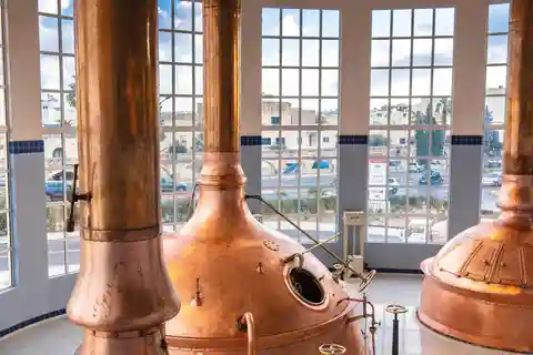 Experiência na cervejaria e prova de cerveja, incluindo transporte