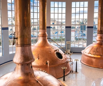 The Brewery Experience and beer tasting including transport