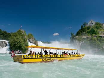 Von Basel: Private Tagestour zu den größten Wasserfällen Europas
