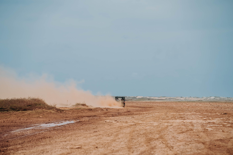 Aruba: UTV Off-Roading Tour and Swim at Arashi Beach