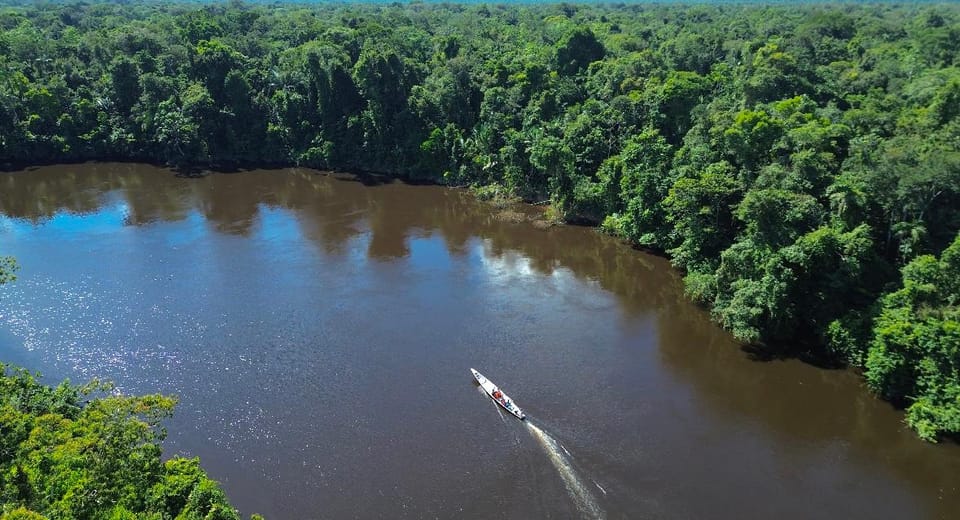 Ecuadorian Amazon: Guided wildlife tours with locals.