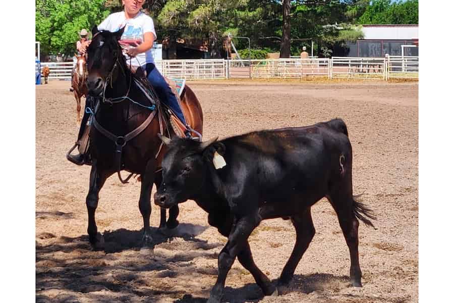 La Mesa: 1-stündige Western-Reitstunde. Foto: GetYourGuide