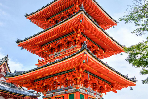 Kyoto: Private Customizable Tour with Driver and Guide