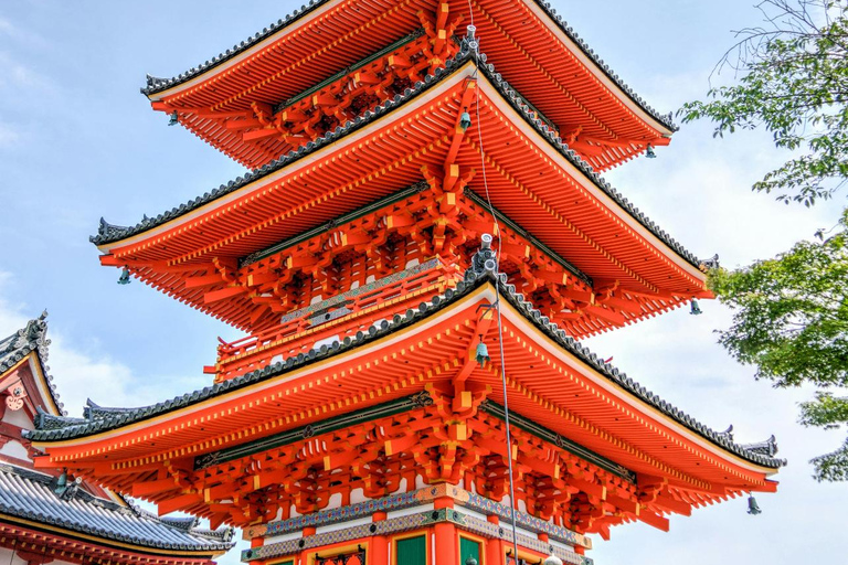 Kyoto: Private Customizable Tour with Driver and Guide