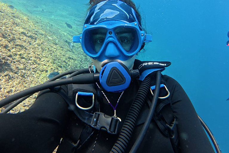 Daymaniyat Islands Scuba Diving Experience with Photos