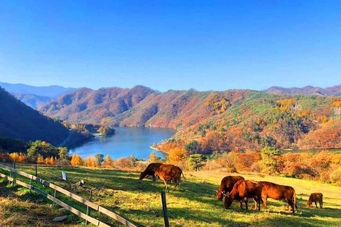 From Seoul: Private Gangwondo Day Tour - English or Spanish