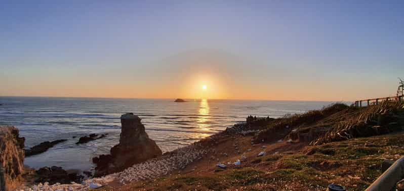 Colagem de mídia