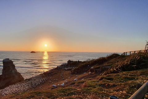 Auckland: Tour al atardecer con piscina termal y vista nocturna