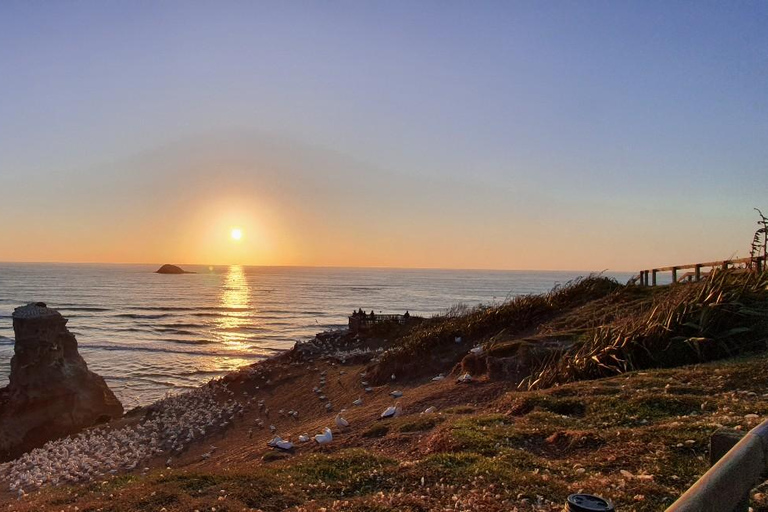 Auckland: Tour al tramonto con piscina termale e vista notturna