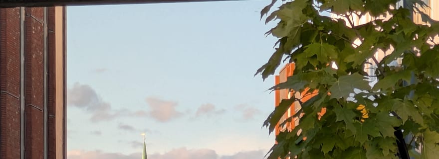 Tromsø : promenade dans la ville et dégustation de brioches à la cannelle