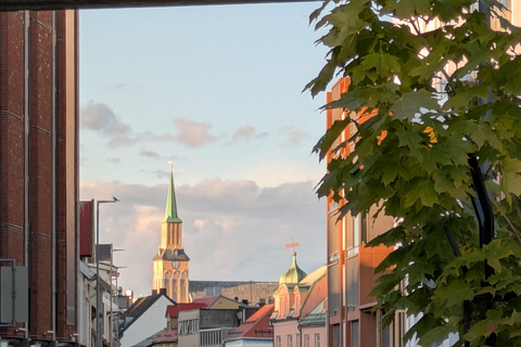 Tromsø: Small Group City Walk & Cinnamon Bun at Fint Café