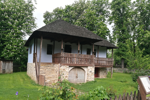 Bucareste: Visita guiada ao Museu da Aldeia