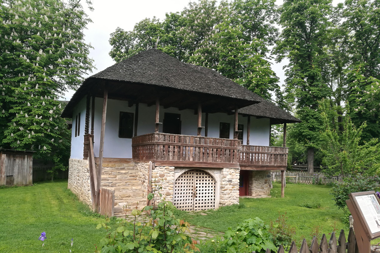 Bucharest: Village Museum Guided Tour