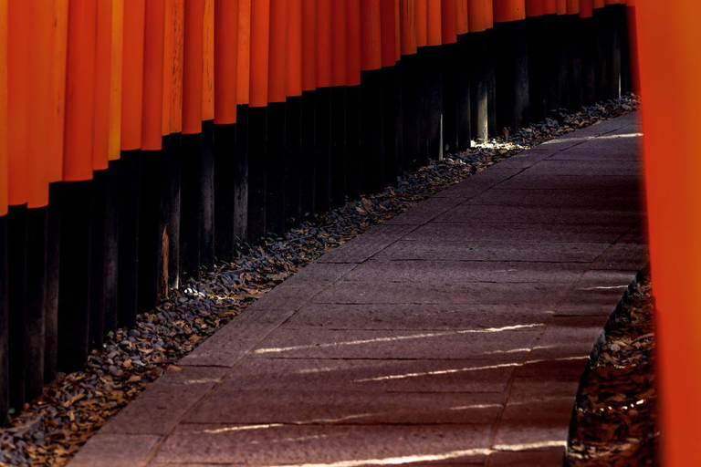 Jednodniowa wycieczka do Kioto, Nara, świątyni Fushimi Inari i Arashiyama