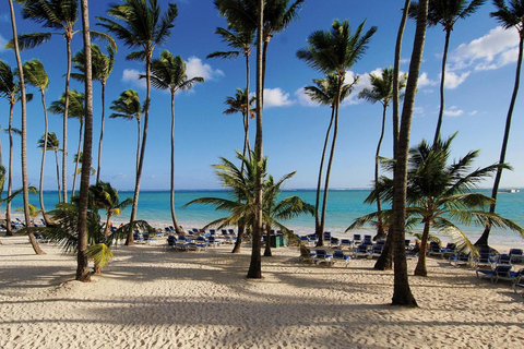 Punta Cana: Saona Caribbean Rum Coast Cruise with Open bar