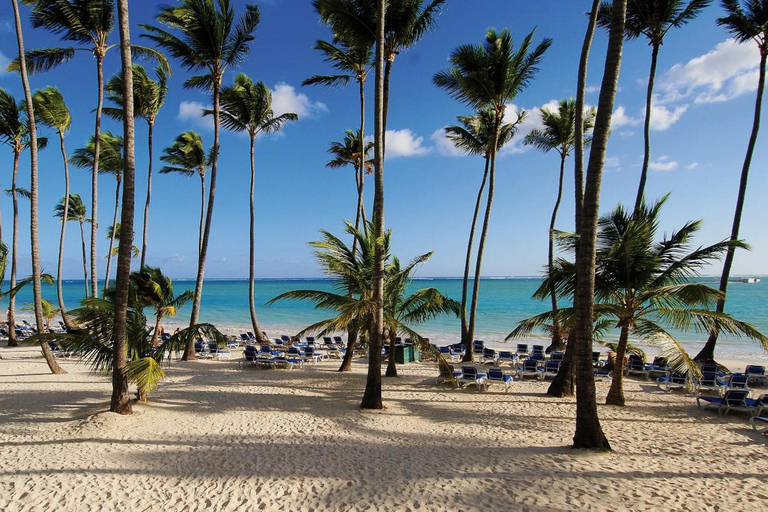 Punta Cana: Saona Caribbean Rum Coast Cruise with Open bar