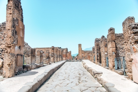 Pompeii: Ruins Private Tour with Skip-the-Line Entry Private Tour in Spanish, French or Italian