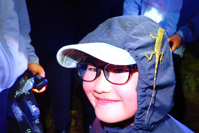 Yonaguni Island: Stargazing and Jungle Night Tour